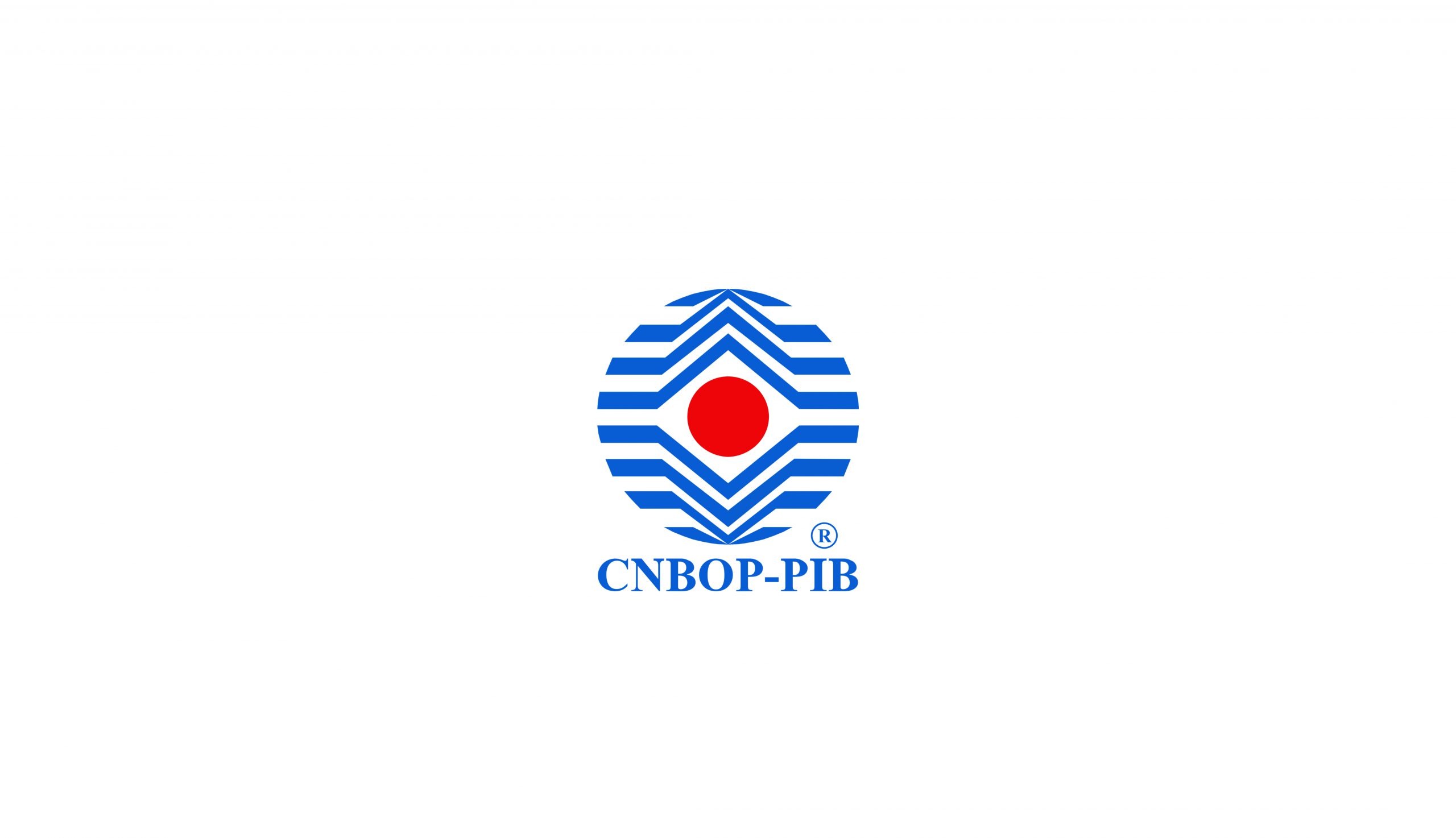 iBlockFIRE certified by CNBOP-PIB with the PN-EN 3-7 standard - 06/11/2019.